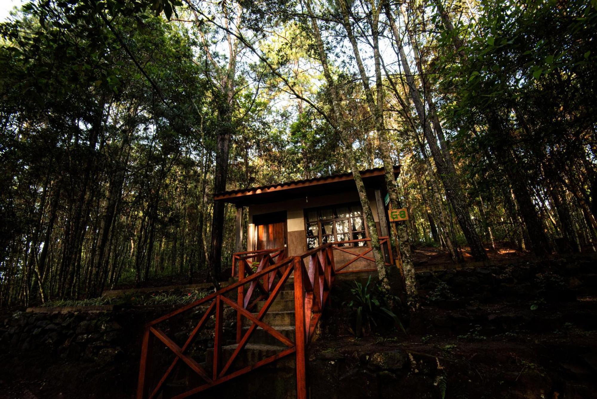Cotan Ecolodge La Esperanza Екстер'єр фото