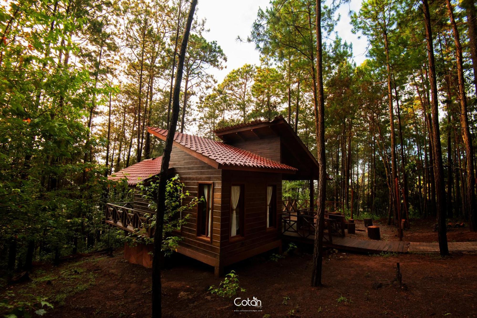 Cotan Ecolodge La Esperanza Екстер'єр фото